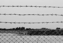 ‘Villawood’s drug crisis revealed…’