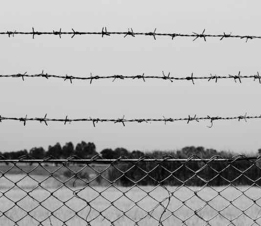 ‘Villawood’s drug crisis revealed…’