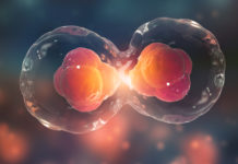 Sub 820/801: what happens if DHA resends refusal letter