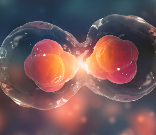 Error re-exercising s 501(2) immaterial if further conviction could have been relied upon?