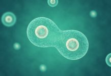 s 501A: can power be re-exercised on same facts following remittal?