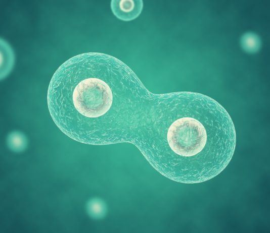 Bifurcated merits review?