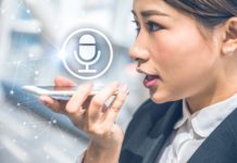 Mistranslations and practitioner’s fraud on the court?