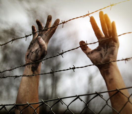 Coalition to freeze refugee intake if it wins election