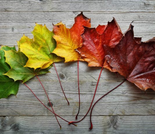 Transitional operation of reg 5.19 for 457 visa holders