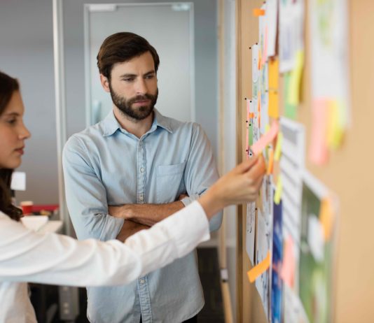 s 501CA(4): briefs given to Minister