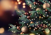 VETASSESS Christmas shutdown