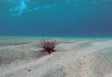 Amending the definition of ‘Australian seabed’