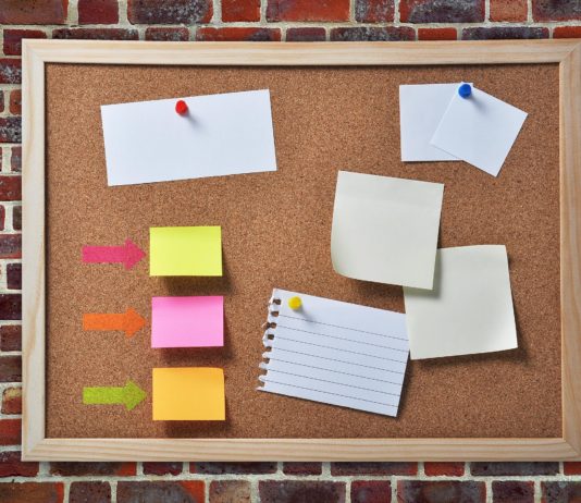 Tribunal implicitly rejected qualification in paragraph 6(3) of Direction No 79?