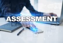 Assessing authorities for subclass 494 visas